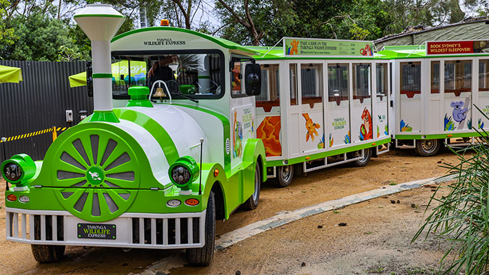 The Taronga Wildlife Express