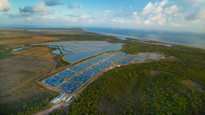 Pacific Reef Farm near Ayr.