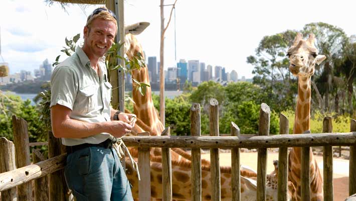 Senior Keeper Jimmy Sanders at the iconic Giraffe exhibit at Taronga Zoo, Sydney 2007