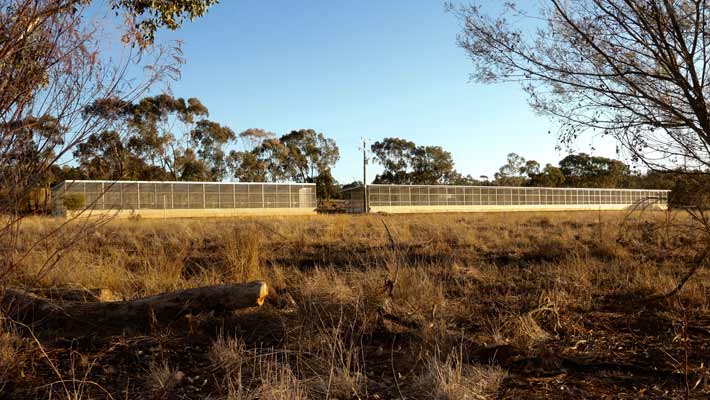 The Plains Wanderer aviary at Taronga Western Plains Zoo replicates original plains habitat