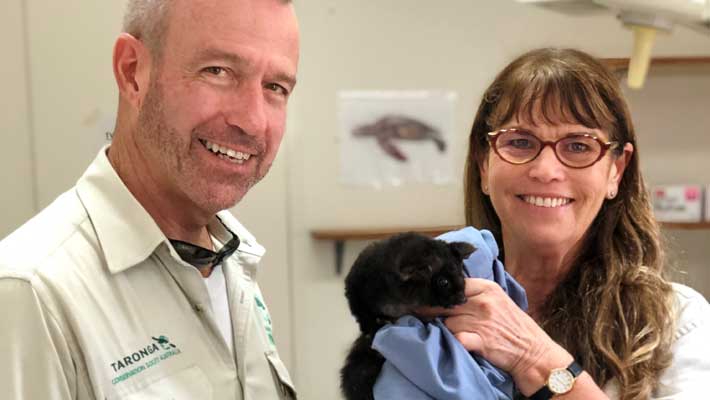 Hayden Turner (left) and Libby Hall (right) at Taronga Wildlife Hospital, Sydney 