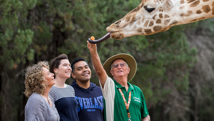 Volunteering at Taronga Western Plains Zoo Dubbo