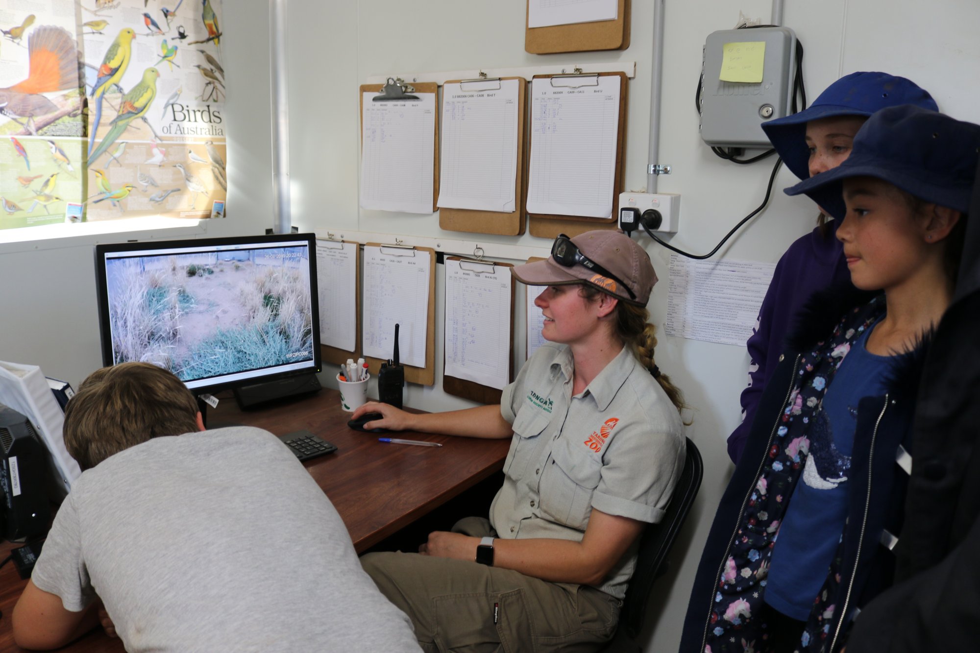 Students viewing Plains-wanderers via CCTV