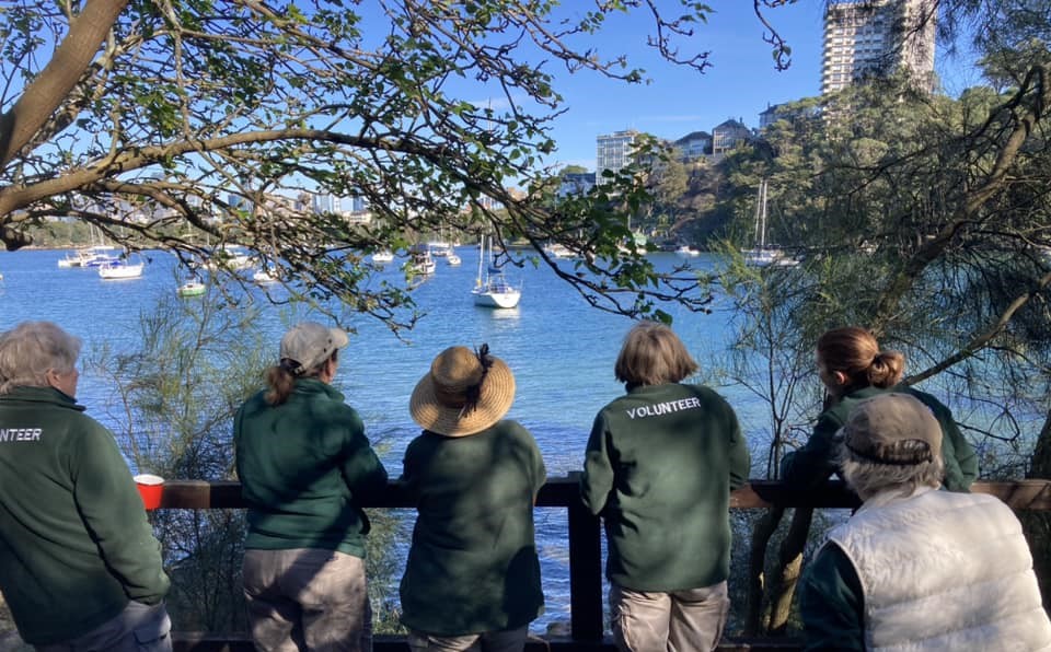 Bushcare Volunteers