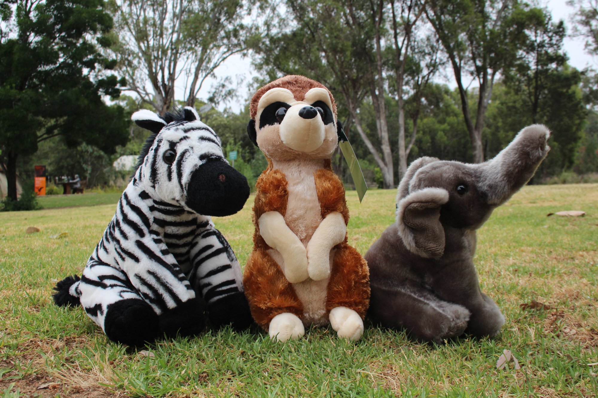 Soft animal toys