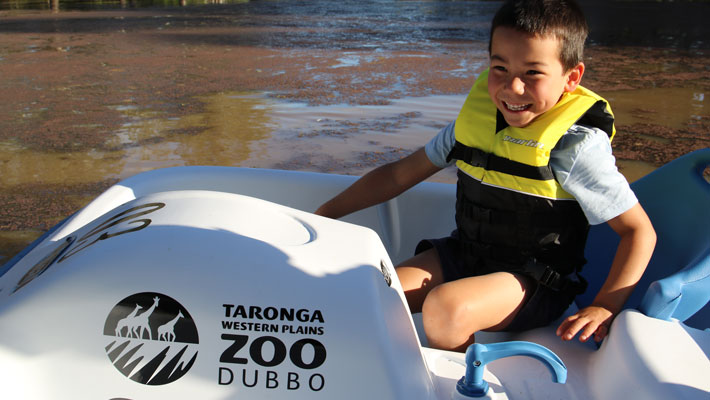 Pedal Boats at Taronga Western Plains Zoo Dubbo