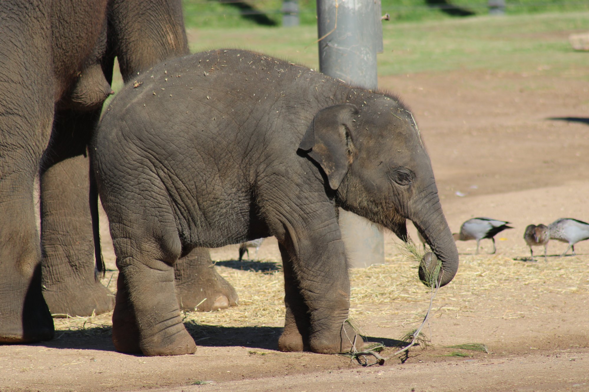 Kanlaya at 10 months old