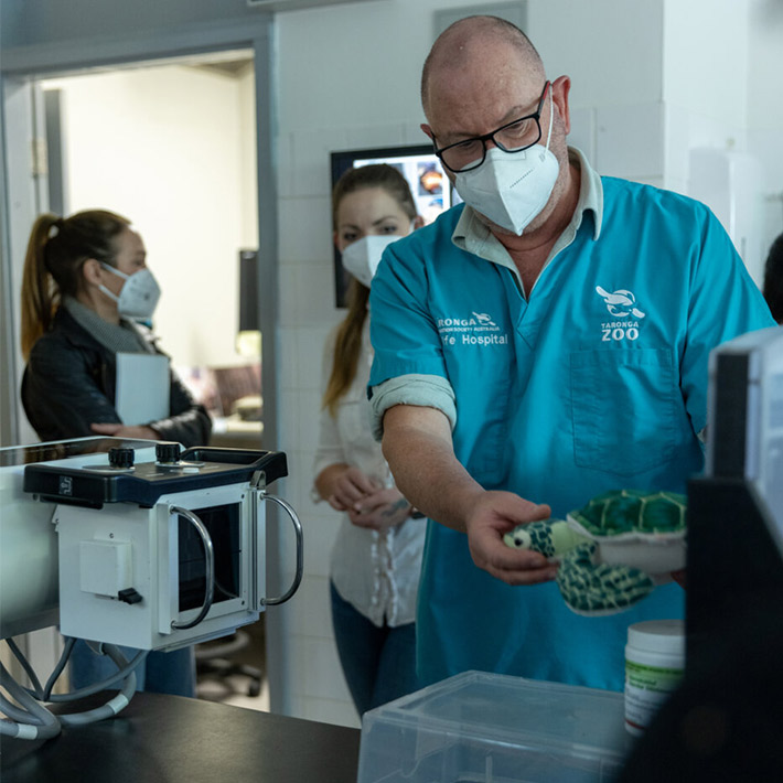 Senior Veterinarian Larry and plush turtle in demonstration