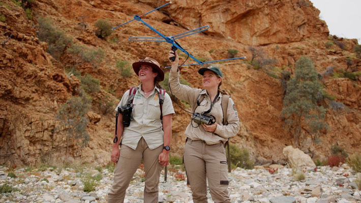 Morrigan Guinane and Talitha Moyle tracking the released Chuditch