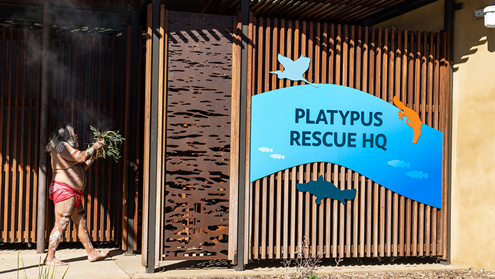 Traditional Owner and Tubba-Gah Maing Wiradjuri man Uncle Lewis Burns performs Smoking Ceremony at Platypus Rescue HQ