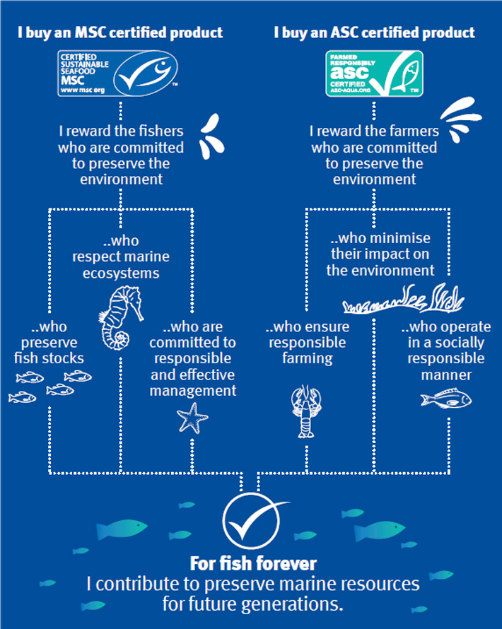 Marine Stewardship Council (MSC) - flowchart.